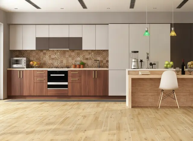 Contemporary Kitchen Interior project